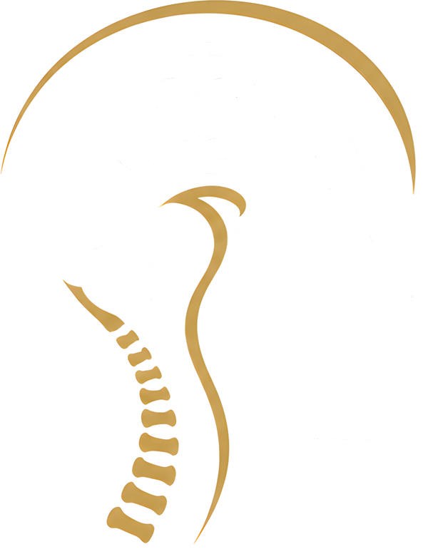 Dr. Kshitiz Nigam brand mark: head profile with brain and spine